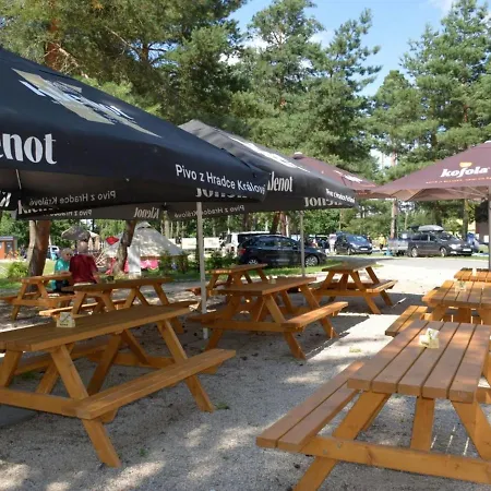 Stribrny Rybnik-11 By Interhome Holiday home Hradec Kralove